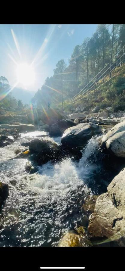 Chirag Homestay Kainchi Nainital Eksteriør billede